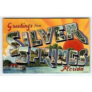 Greetings From Silver Springs Florida Large Letter Linen Postcard Curt Teich